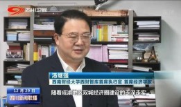四川新闻怎么爆料,聚焦民生热点，共筑舆论监督桥梁