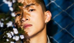 娱乐爆料屈楚萧视频,娱乐爆料背后的真相揭秘